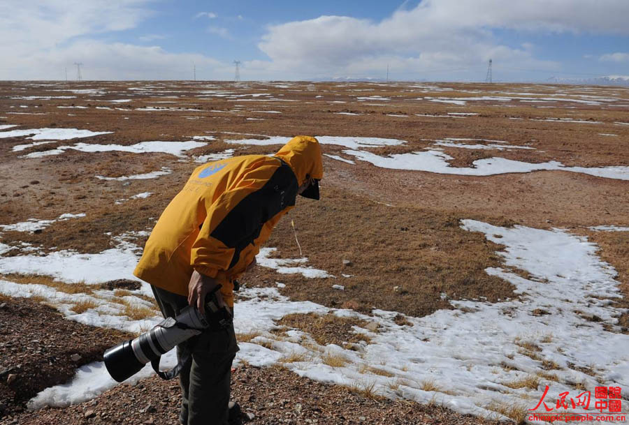 ???? ???? ????? ????? ????????? ??????? ?? ???? ?????.    