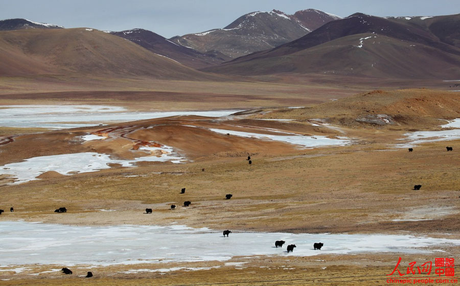 ?????? ??????? ??????? ??????? ??????? ?? ????? ???? ???? 