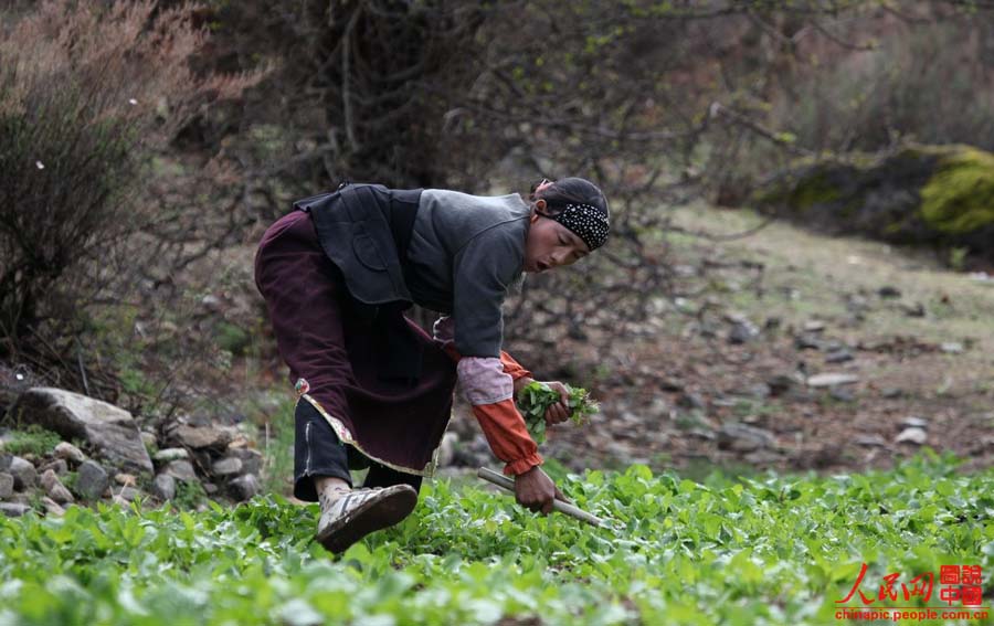 ????? ?????? ????? ??? ?????? ??? ???? ???????? ????? ??????? ??????? ??????? ???????? ???????? ????? "?????? ?????? ????? ??????".