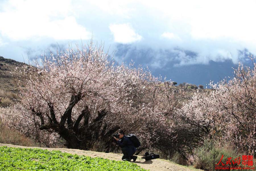 ????? ?????? ????? ??? ?????? ??? ???? ???????? ????? ??????? ??????? ??????? ???????? ???????? ????? "?????? ?????? ????? ??????".