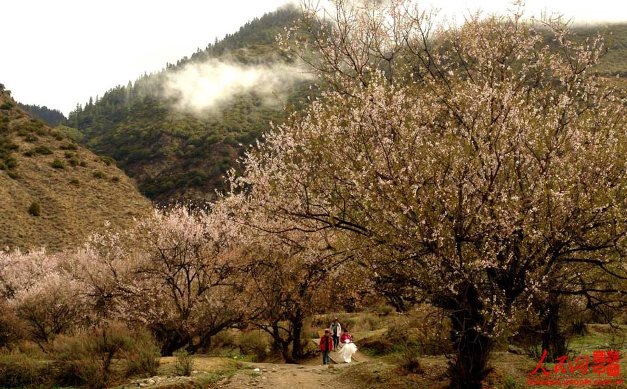 ????? ?????? ????? ??? ?????? ??? ???? ???????? ????? ??????? ??????? ??????? ???????? ???????? ????? "?????? ?????? ????? ??????".