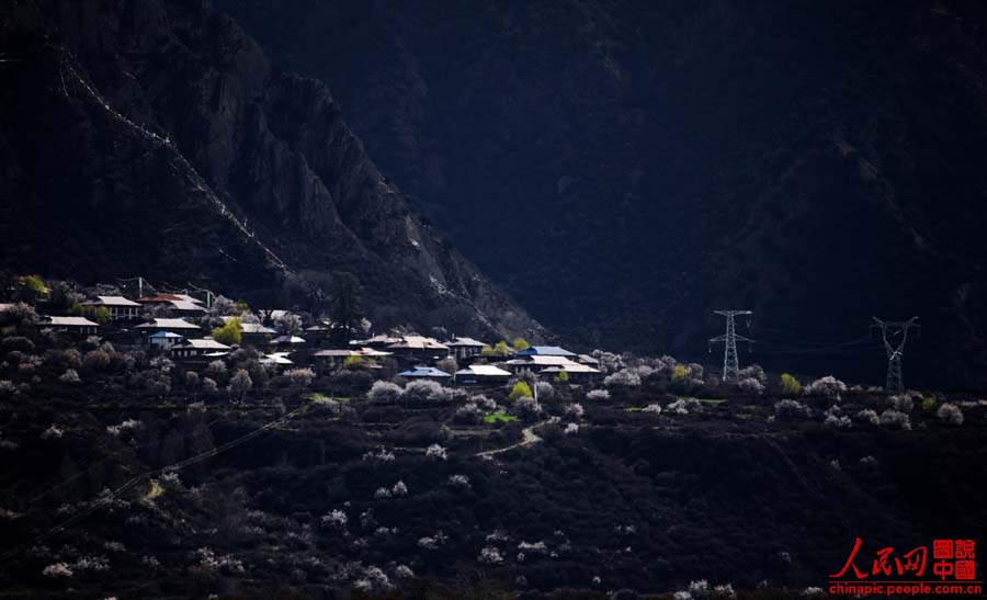 ????? ?????? ????? ??? ?????? ??? ???? ???????? ????? ??????? ??????? ??????? ???????? ???????? ????? "?????? ?????? ????? ??????".