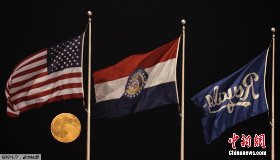 ??? ????? ???? ?? ????? ??? ?? ???????