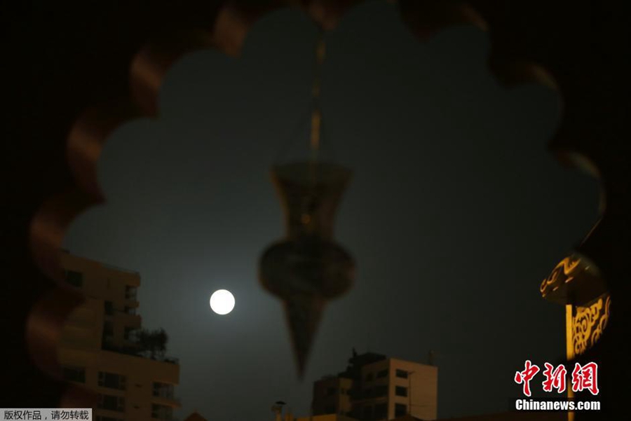 ??? ????? ???? ?? ????? ??? ?? ???????