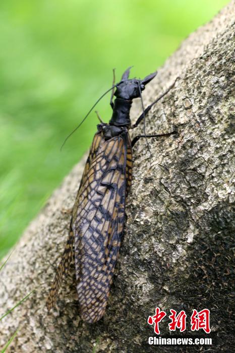 ??????? ???? ??????? ??????? ?? ?????? ??????? ??????? ???????