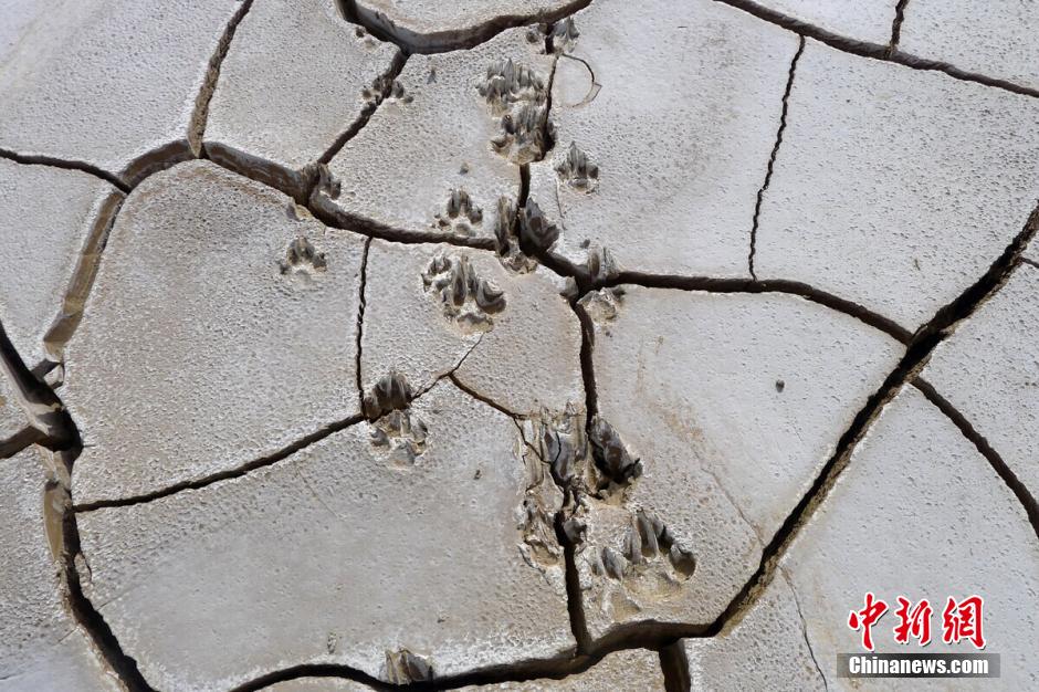 ????? ????? ???? ??? ????? ?????? ???????? ?? ??? ???