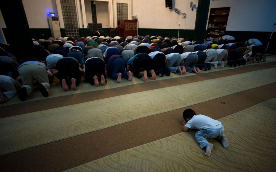 ????? ????? ?????? ?? ???? ?????    