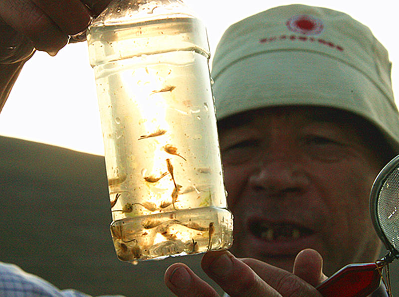 ?????? ????.. ????? ??? ?? ??? ??????? ?? ???????? ???????