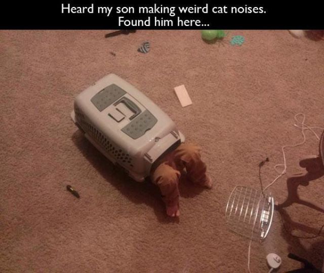 ??????? ???????? ?? ?????!!!