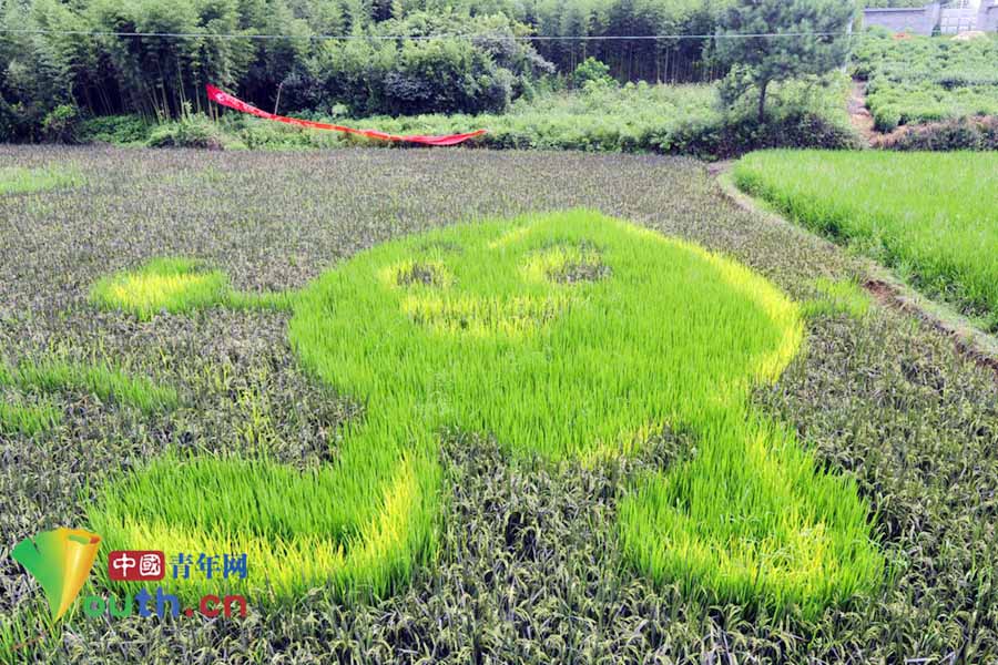 ???? ???? ????? ?????? " ??? ???????????" ?????? ??????? ???????