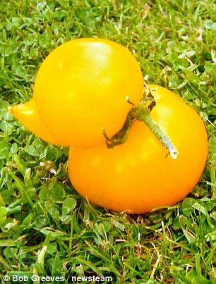 ????? ???...????? ??? ????? ????