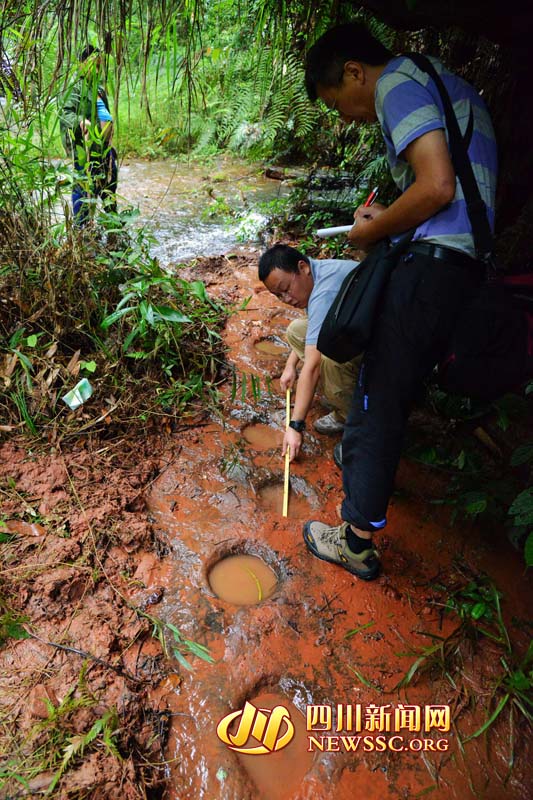 ?????? ??? ???? ?????  ????????? ???? ??? ??? ????? ??? ?? ?????