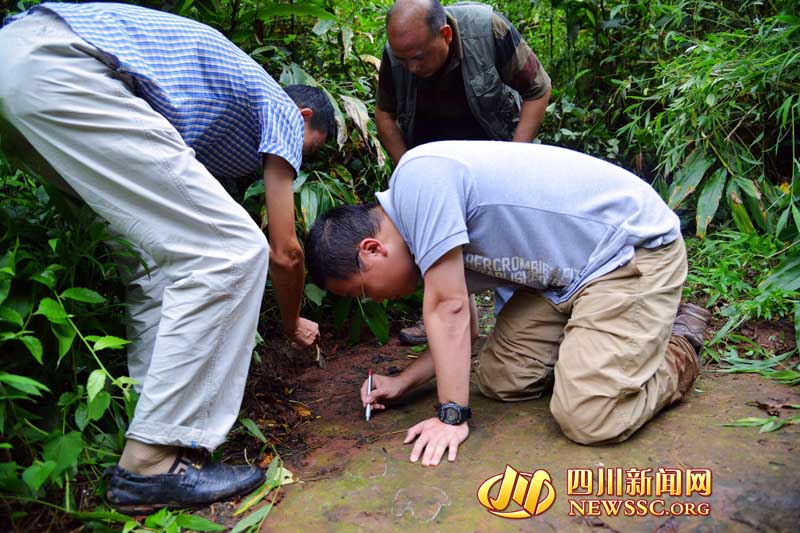 ?????? ??? ???? ?????  ????????? ???? ??? ??? ????? ??? ?? ?????