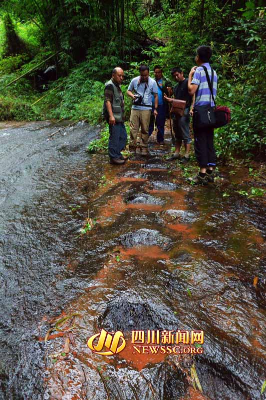 ?????? ??? ???? ?????  ????????? ???? ??? ??? ????? ??? ?? ?????