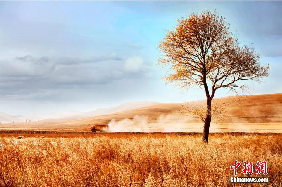 ?????? ???? ??? ?? ?????? ??????? ???????