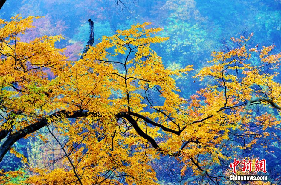 ?????? ???? ??? ?? ?????? ??????? ???????