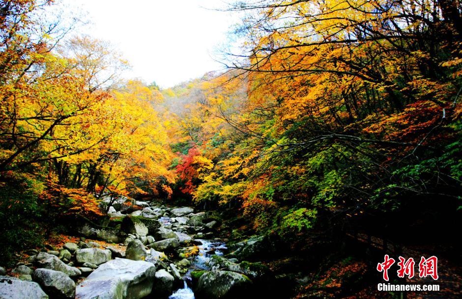 ?????? ???? ??? ?? ?????? ??????? ???????