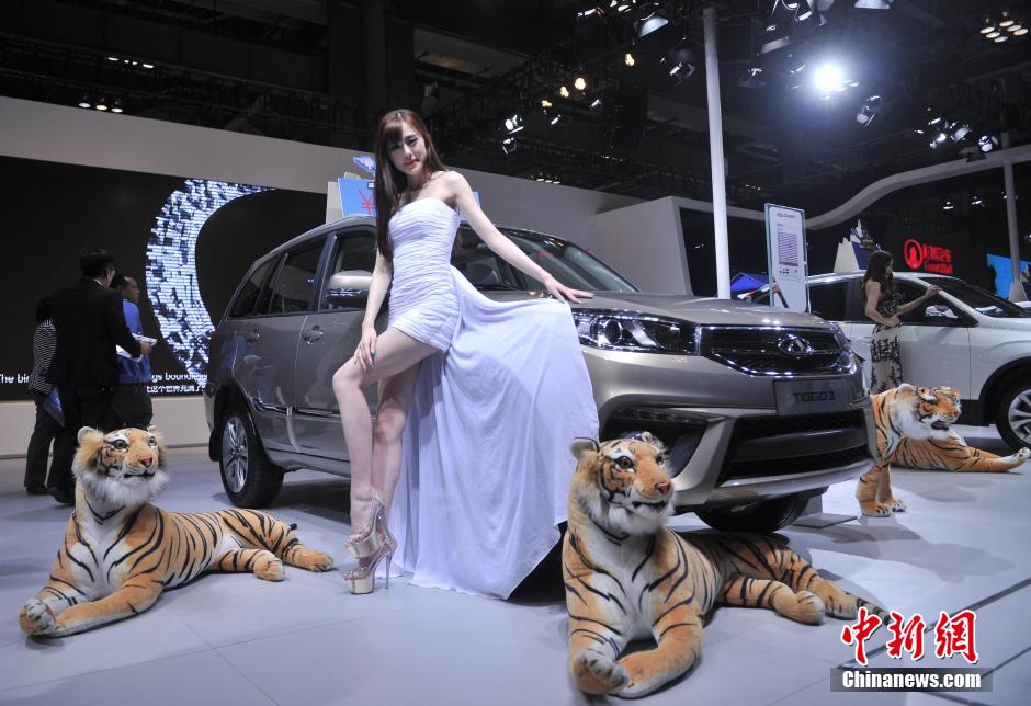 ?????? ???????? ????? ??? ??????  ?????? ??????