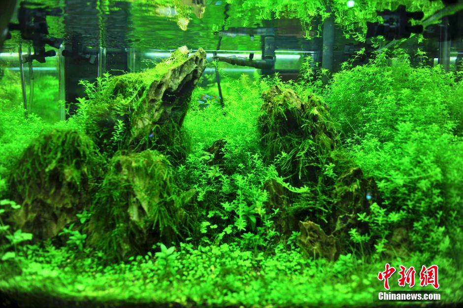 " ????? " ?? ???????? ????? ????? ??? ?????? ?????? ???????