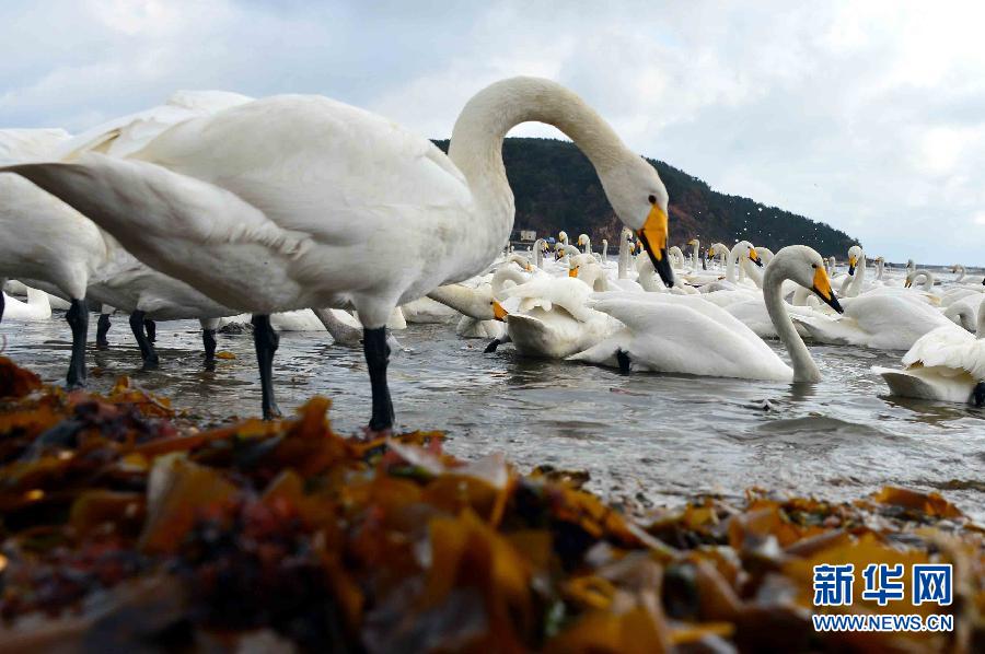 ????? ???????: ????? ????? ?????? ???? ???? ?? ?????? ???????