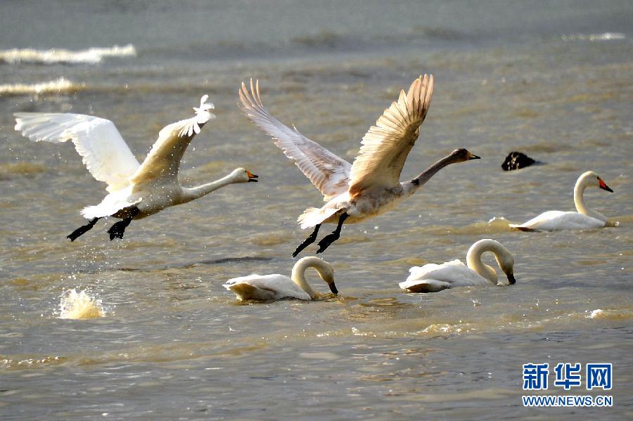 ????? ???????: ????? ????? ?????? ???? ???? ?? ?????? ???????