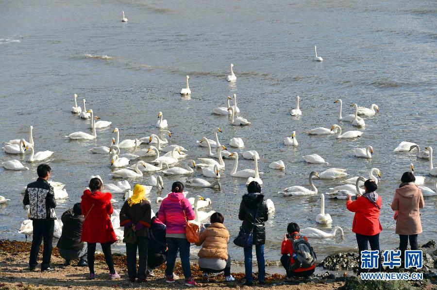 ????? ???????: ????? ????? ?????? ???? ???? ?? ?????? ???????