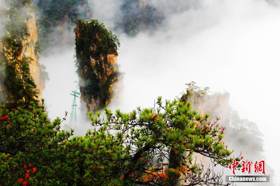 ???? ?? ???? ?????? ??????? ?? ????? ??????????? ???????? ??? ?????