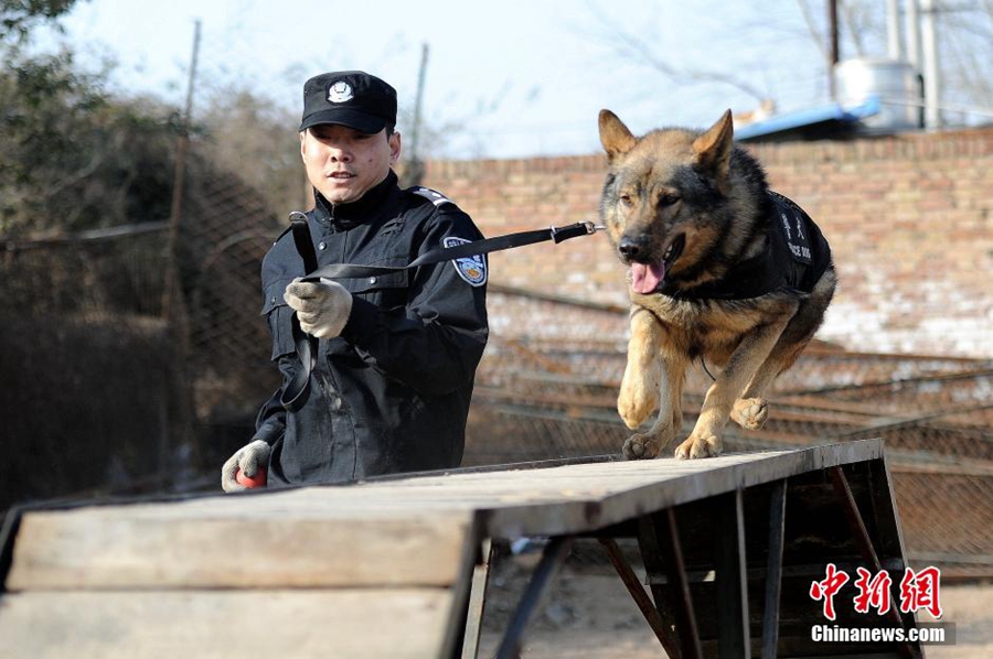 ???? ??? ?????? ????? ?????? ????????? ????? ????? ???? ??? ??????