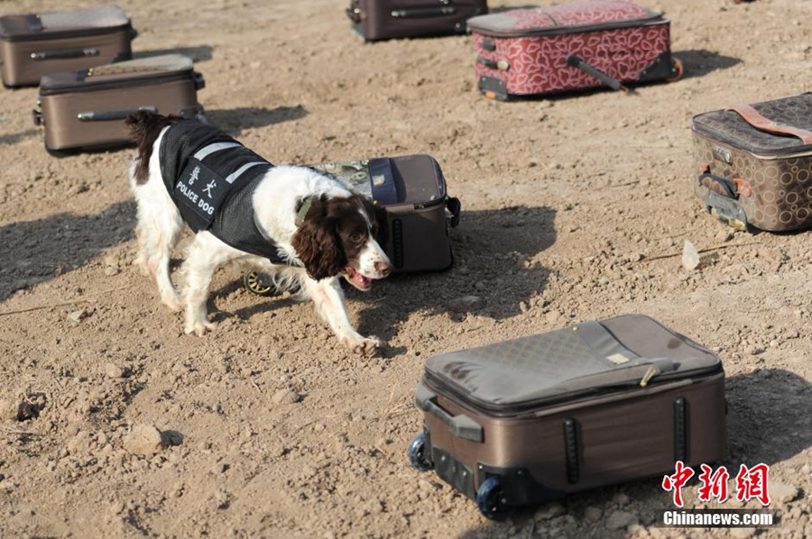 ???? ??? ?????? ????? ?????? ????????? ????? ????? ???? ??? ??????