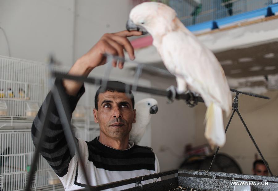 ???? ????? ?? ??? ?????? ?????? ?????? ??????