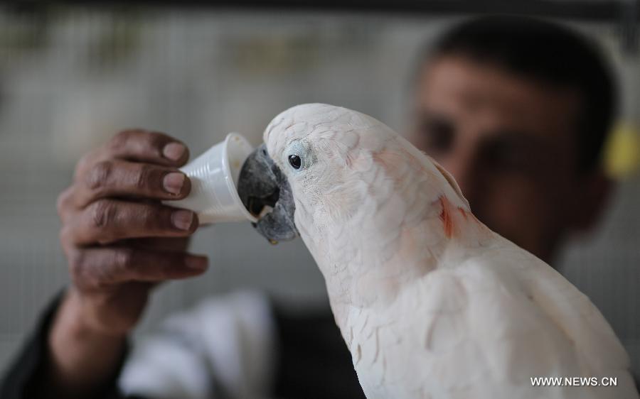 ???? ????? ?? ??? ?????? ?????? ?????? ??????