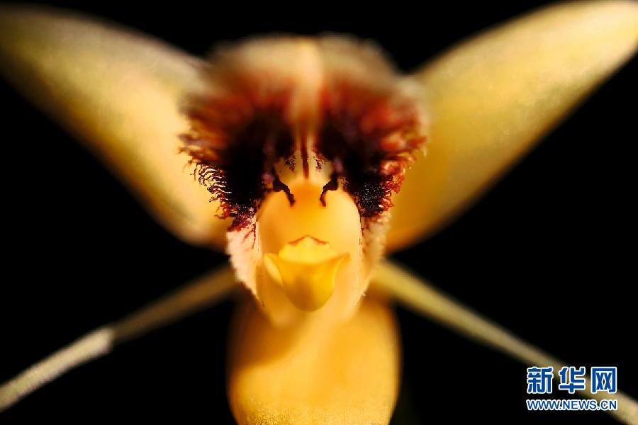 ???..?? ???? ????? ??????? ?? ?????!