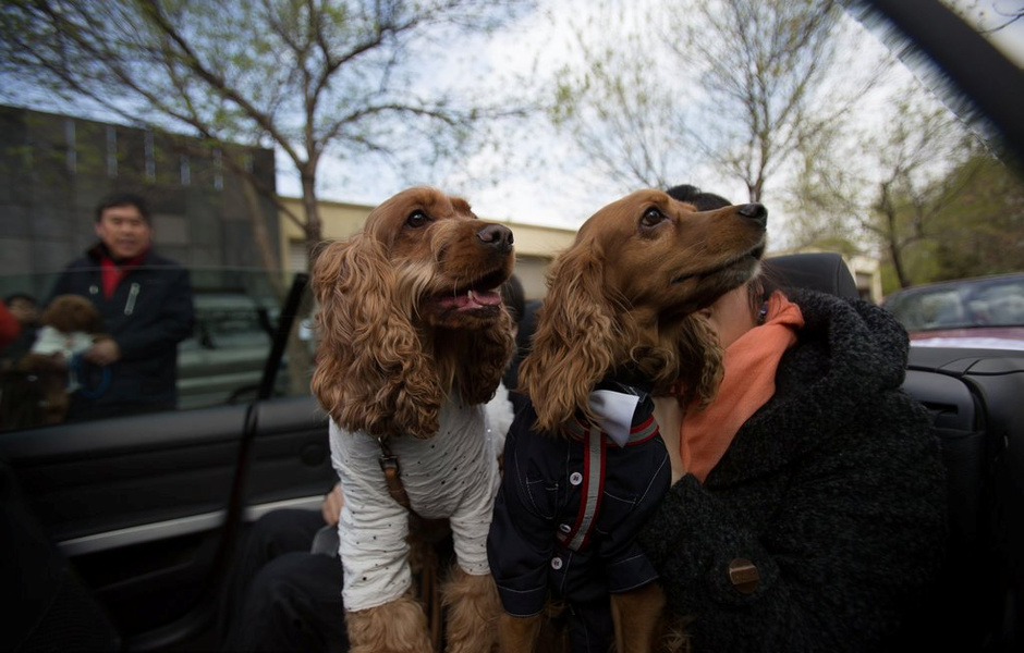 ????? ??? ??? ???? ????? ????????? ??????? ?? ?????