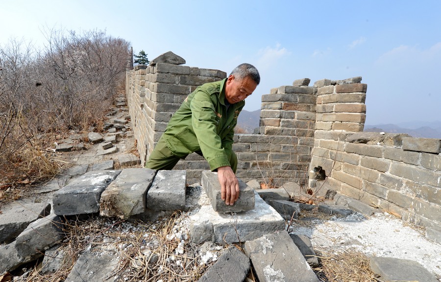 ????? ????? ??? ??? ????? ?????? 37 ???