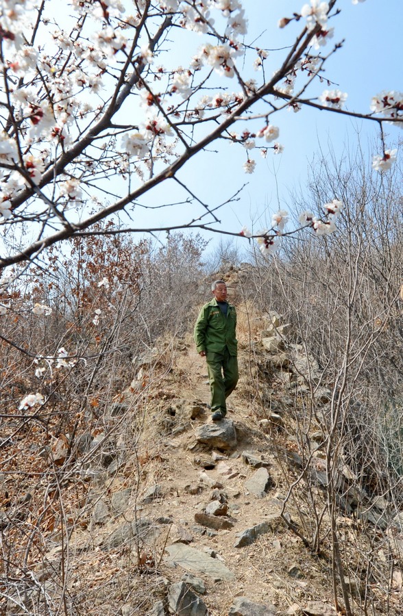 ????? ????? ??? ??? ????? ?????? 37 ???