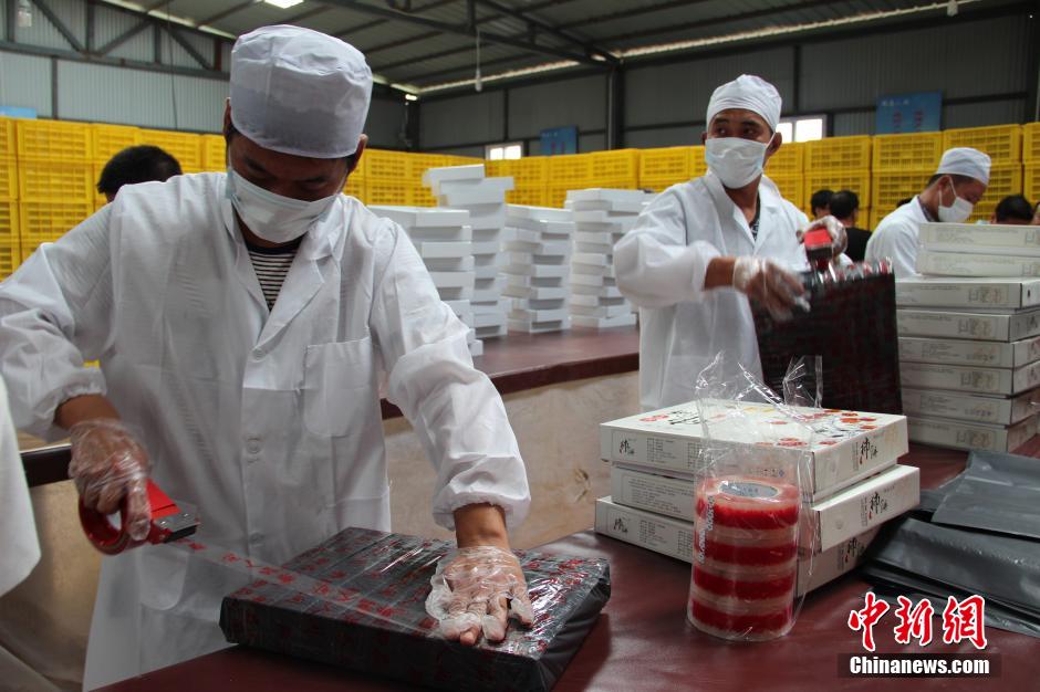 ???? ????? ???? ???????? ???????? ???????? ??? ????????