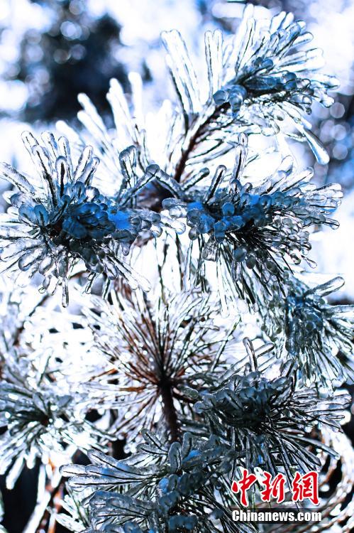 ????? ????? ?????? ??????? ?? ???? 