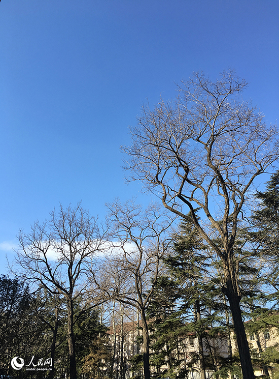 ???? ?????? ??? ???? ???? ?????