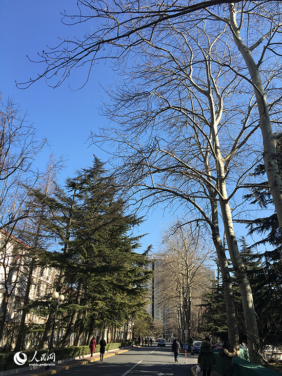 ???? ?????? ??? ???? ???? ?????