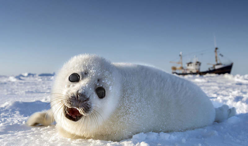 ????? ???...??? ??? ????? ???? ????