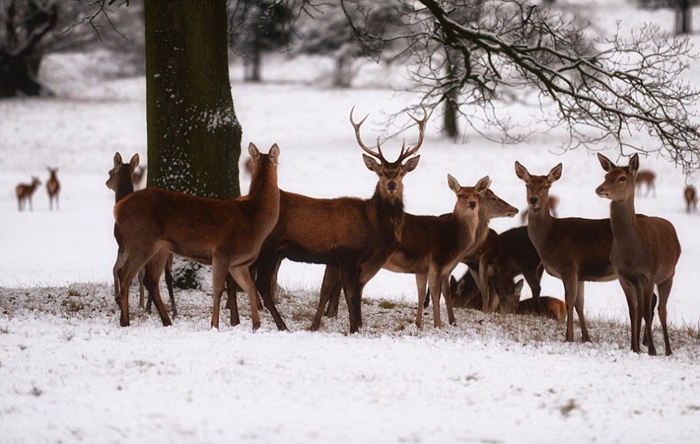 ???? ????? ???? ???????? ????? ??????