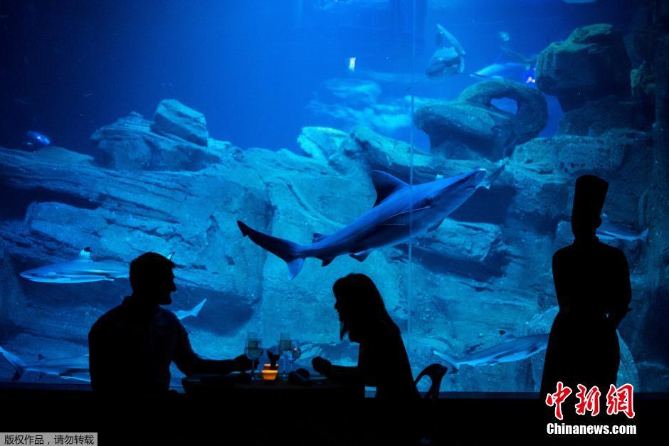 ????.. ????? ????? ?? ????? ????? ?? ?????