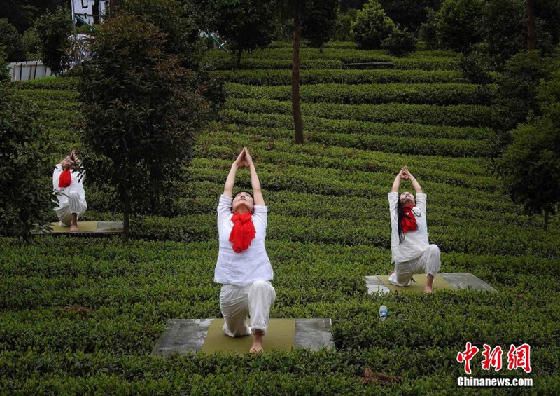 ???? ??? ??????.. ???? ?? ????? ???