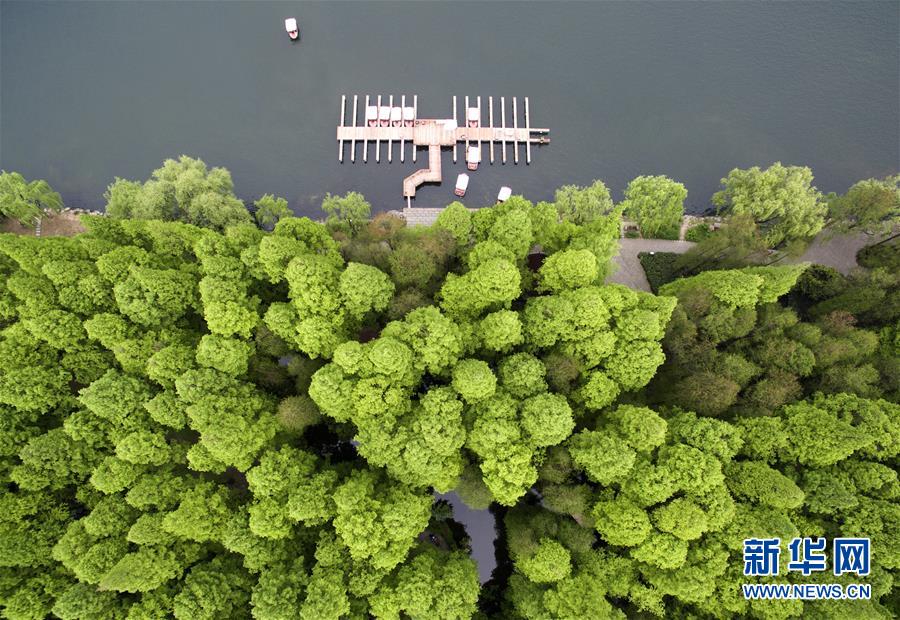 ????? ?????? ?????? ??????????????? ????????? ???? G20 ??? 2016