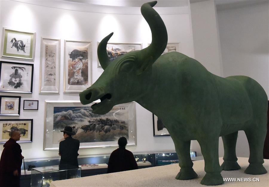 ???? ????? ?? ????? ???????