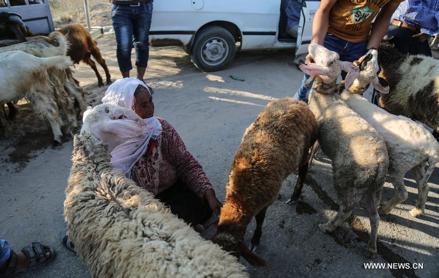 ????? ??????: ???? ??????? ???????? ?????? ????? ?? ???? ??? ?????? ????????