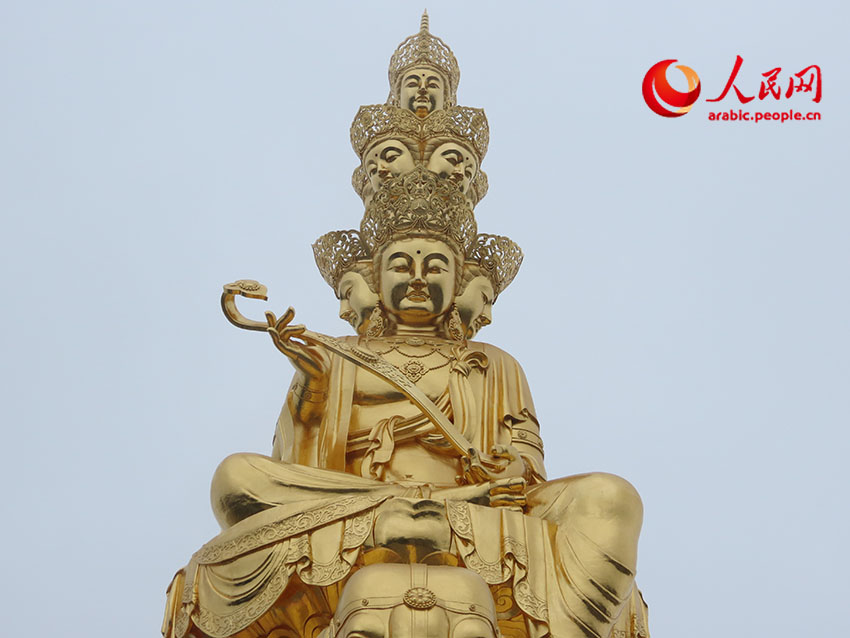 ???? ????: ??? ?????? ??? ??? ??? ??????? ??????