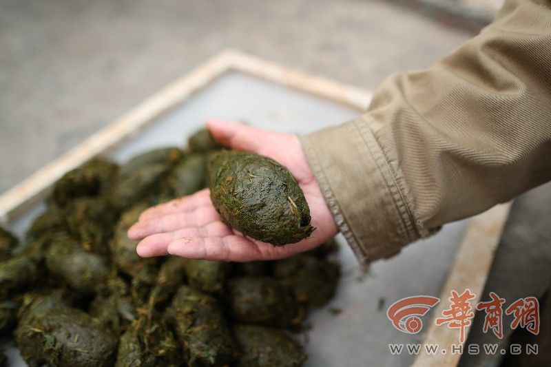 ???? ?????? ?? ????? ????? 