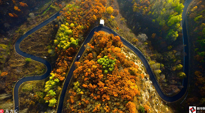 ???? 10 ????? ?? ??????? ????? ?? 2016