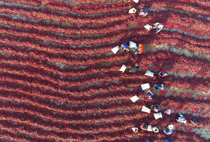 ???? 10 ????? ?? ??????? ????? ?? 2016